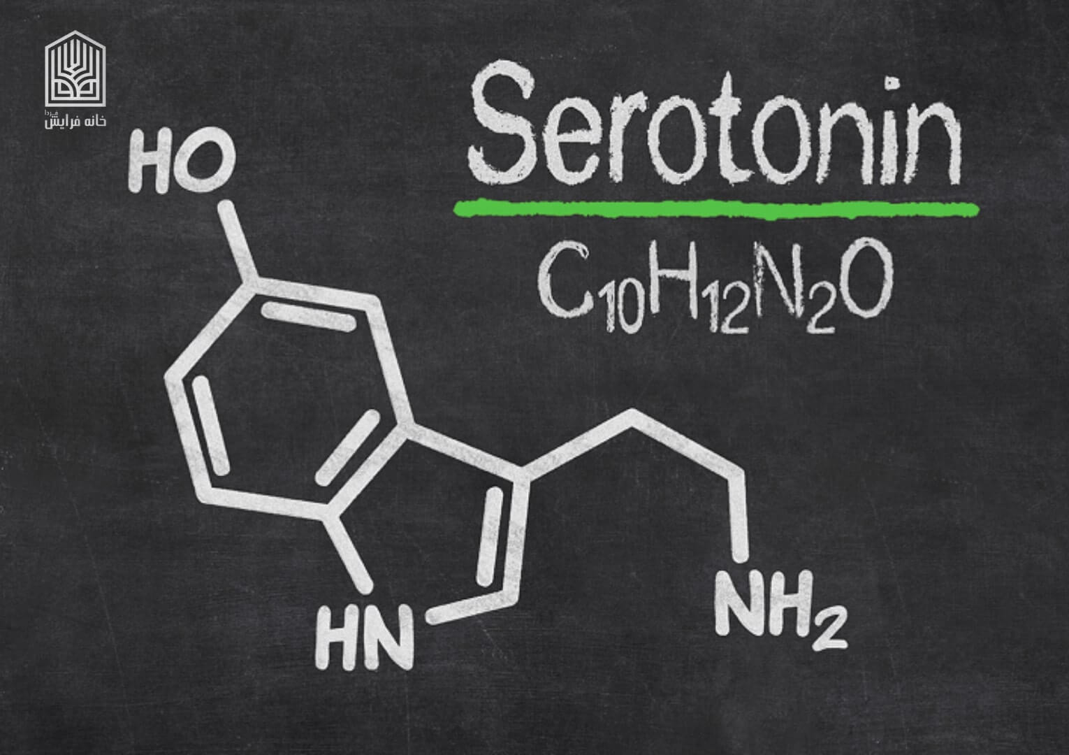 سروتونین | دومین هورمون شادی